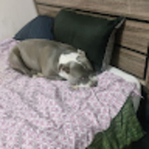 Meet your Posher, Aaron